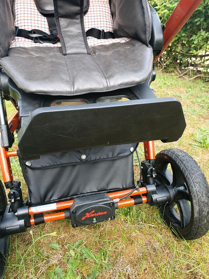 Hartan Xperia XL Kinderwagen in Hannover