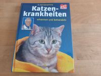 Katzenkrankheiten Niedersachsen - Oetzen Vorschau