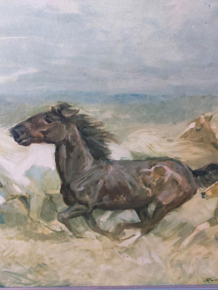 Bild Gemälde Rudolf Schacht galopierende Pferde in Isernhagen