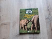 Tiere der afrikanischen Savanne Lebendige Wildnis Brandenburg - Prenzlau Vorschau