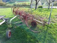 Heuspinne, Sternradschwader Bayern - Bissingen Vorschau