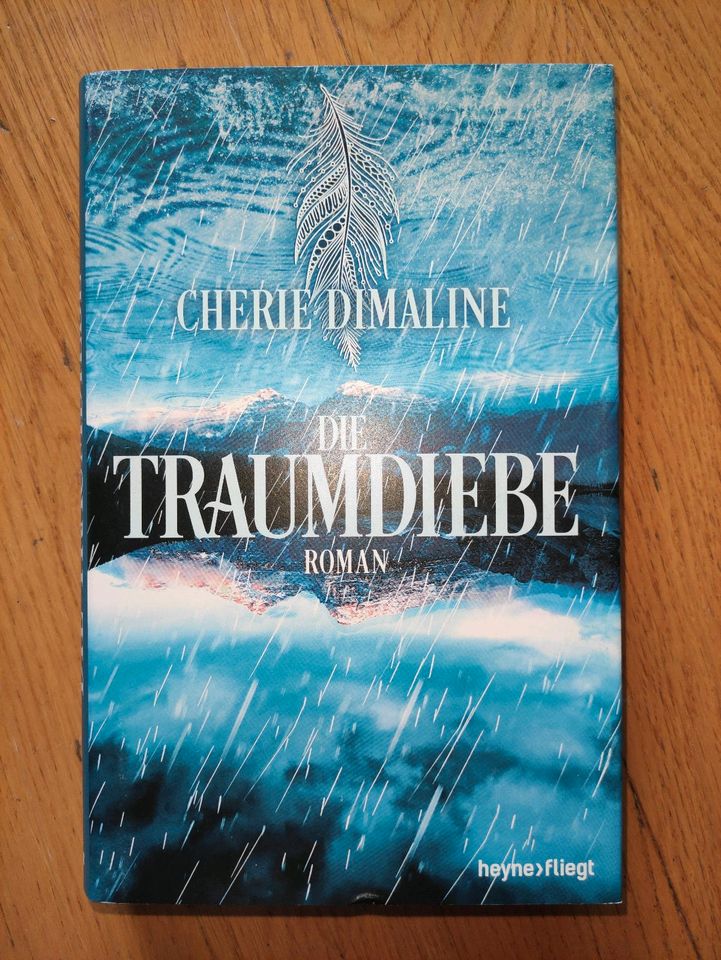 Die Traumdiebe von Cherie Dimaline (Hardcover Buch, Roman) in Friedrichsthal