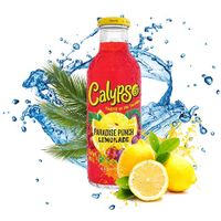 Calypso Paradise Punch Lemonade 473ml Niedersachsen - Wolfenbüttel Vorschau