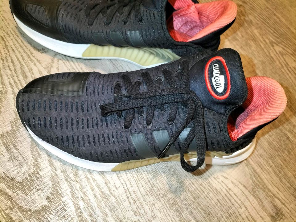Adidas Herren Sneaker in Bad Oeynhausen