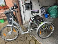 Elektro Fahrrad Dreirad Nordrhein-Westfalen - Raesfeld Vorschau