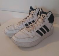 Adidas Sneaker, Gr. 39,5 Hessen - Hofheim am Taunus Vorschau