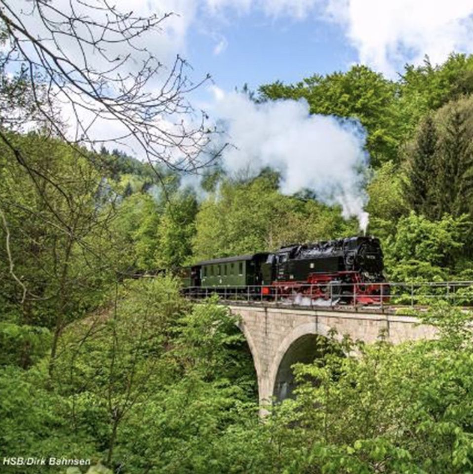 Fachwerkhaus zum Ausbau, schöner ruhiger Garten, Blick auf Südharzberge in idyllischem Erholungsort in Harztor Ilfeld