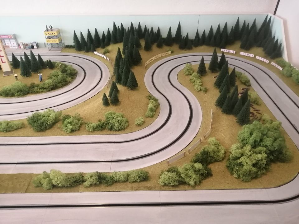 Carrera Bahn Evolution Komplettanlage mit Landschaftsgestaltung in Wachtberg