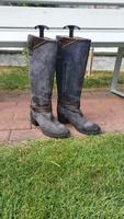 Tommy Hilfiger Damenstiefel (Gr. 38) Hessen - Büdingen Vorschau