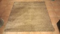 Teppich 150x150 cm beige, top Zustand Saarland - Wadern Vorschau