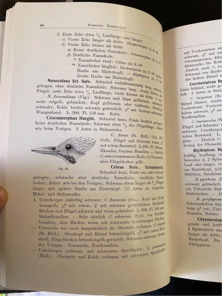 Anton Reichenow die Vögel 2 Bände Handbuch Ornithologie in Mettmann