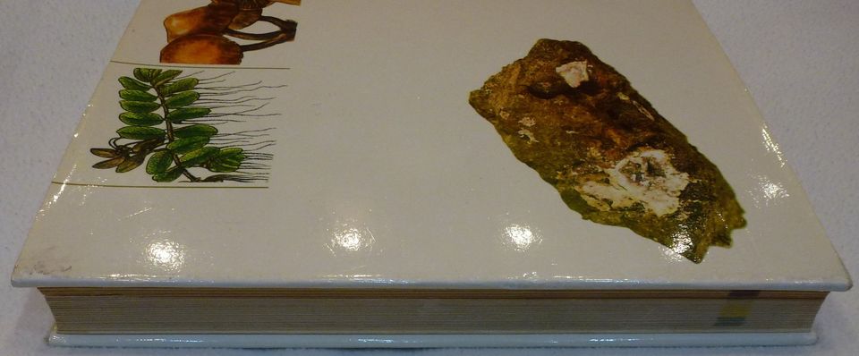 Aus unserer Natur Pflanzen Gesteine Minerale Fossilien 1984 in Berlin