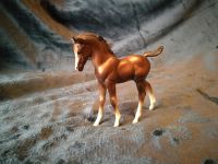 Breyer pferd classic braunes Fohlen Bayern - Ramsthal Vorschau