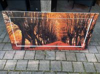 IKEA Wandbild - Herbstwald 120cm Breit 60,5cm Hoch Thüringen - Berlstedt Vorschau