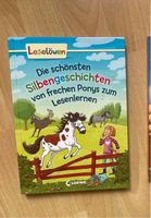 Pony Silbengeschichten / Niedersachsen - Braunschweig Vorschau