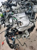 MOTOR 2.3D M9TC704  RENAULT MASTER MOVANO Nordrhein-Westfalen - Schloß Holte-Stukenbrock Vorschau