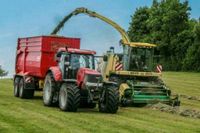 Gras Grünland Wiese Ackerfutter Ernte Silage häckseln Bayern - Leipheim Vorschau