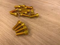 4x Gold Aluminium Flaschenhalter Schrauben kult retro MTB Niedersachsen - Wunstorf Vorschau