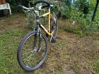 Mountainbike Kenosha 26 Zoll Rheinland-Pfalz - Rülzheim Vorschau