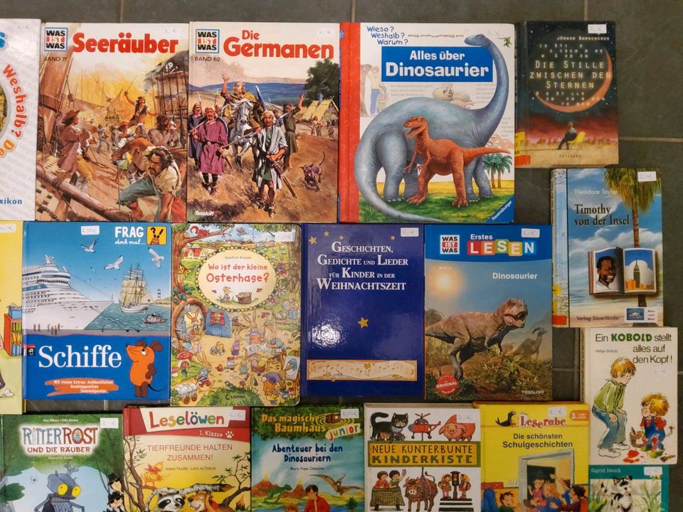 Kinderbücher, CDś zu verkaufen -Olchis, Drache Kokosnuss, Fußball in Üchtelhausen