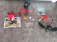 Dragons Ohnezahn Drache mit Dreh Funktion Puzzle Buch Playmobil Nordrhein-Westfalen - Nieheim Vorschau