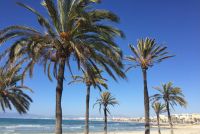 Mallorca Urlaub - Playa de Palma - 1 Woche für 2 Pers. ab 690 €* Dresden - Pieschen Vorschau