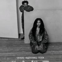 Kendrick Lamar & SZA Konzert Sitzplatz (2×) 02.07. Köln Bonn - Beuel Vorschau