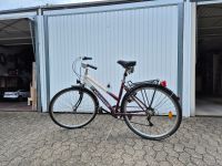 Gebrauchtes Fahrrad zu verkaufen Köln - Porz Vorschau