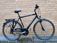 Pegasus Piazza Trekkingrad 28Zoll Niedersachsen - Bad Bevensen Vorschau