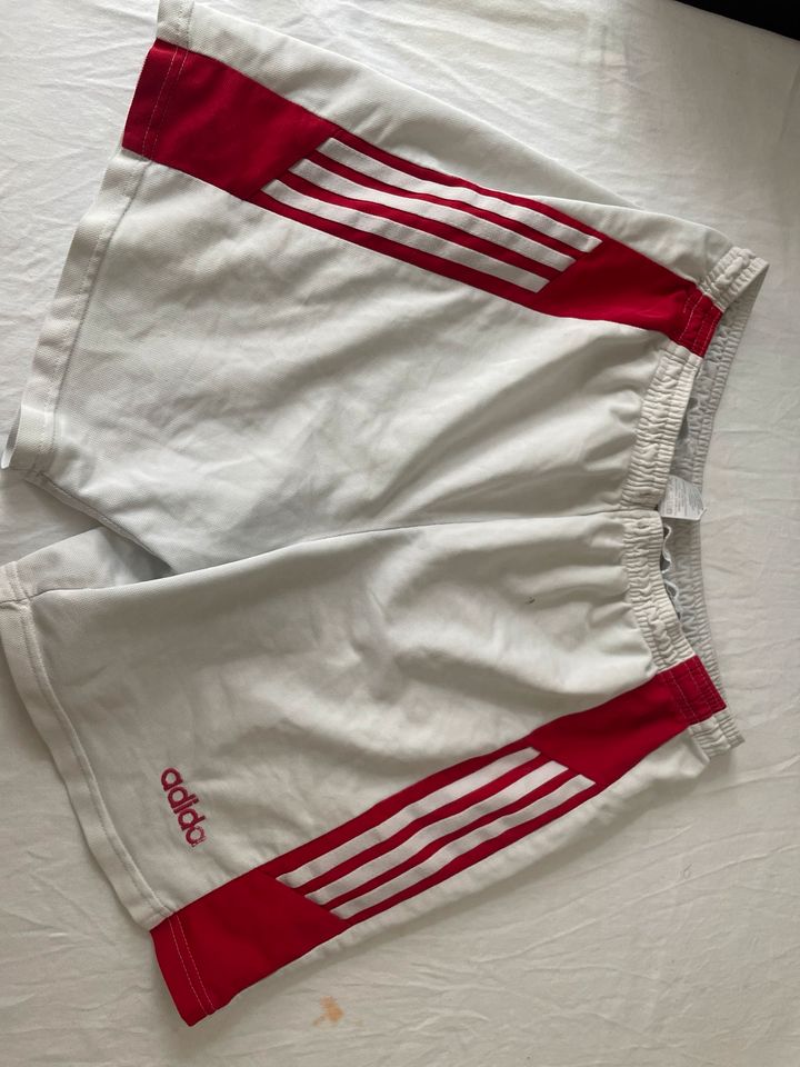 Adidas shorts in Heidenheim an der Brenz