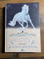 Wolkenherz Buch Die Spur des weißen Pferdes Sabine Giebken Sachsen - Roßwein Vorschau
