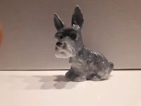 C H - Porzellan Figur Hund "Scottish Terrier" 9 cm Grau - Glanz Nürnberg (Mittelfr) - Nordstadt Vorschau