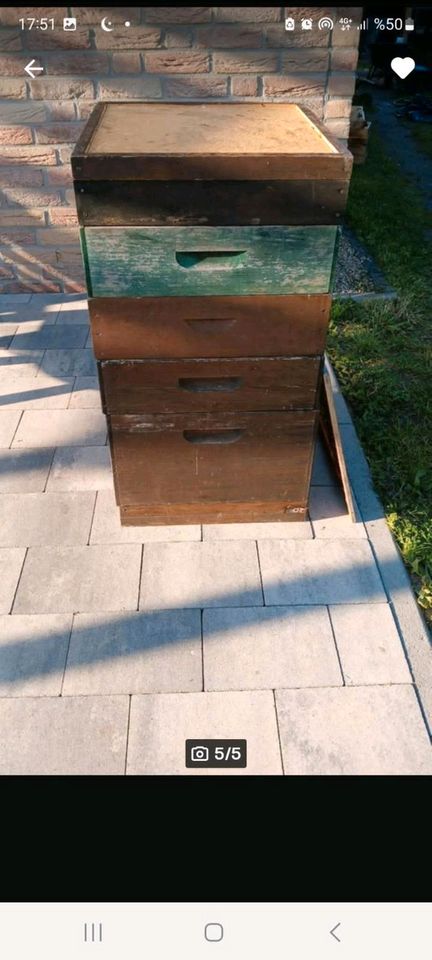 Bienenkasten Beuten, Honigräume Königingitter etc. Dadant  us 12 in Wesel