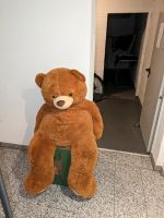 Riesen Teddybär Köln - Porz Vorschau