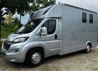 Pferdetransporter Peugeot Boxer Bj. 2022 Baden-Württemberg - St. Leon-Rot Vorschau