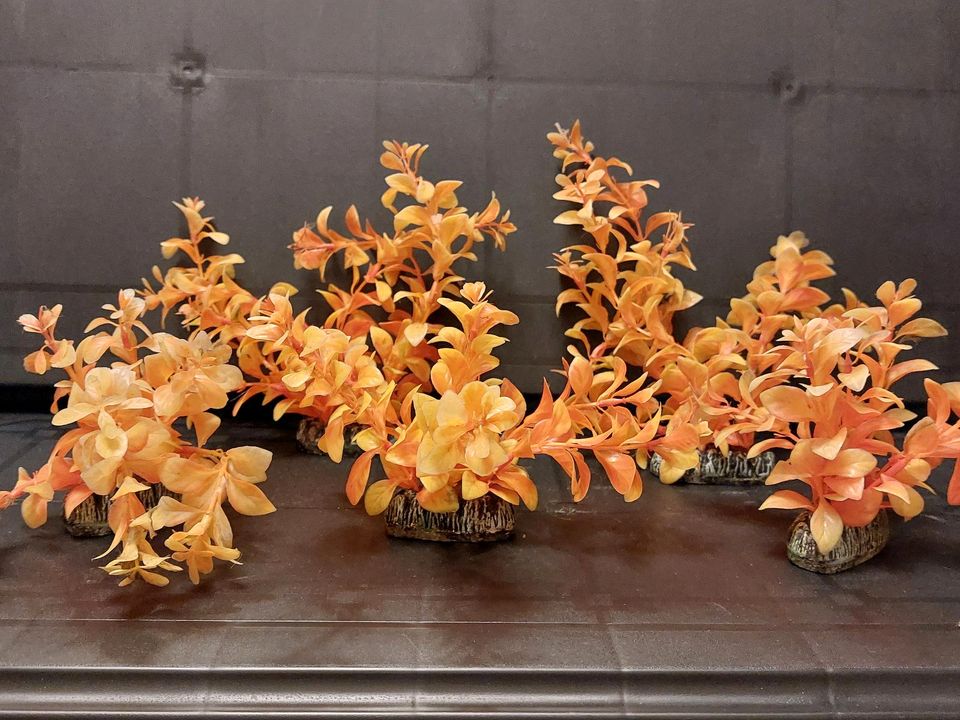 Aquapflanze, Kunstpflanze, 5 Stück, Gelb,Orange in Langwedel