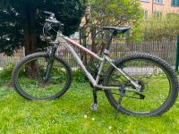 Centurion Damen-Mountainbike Größe S Baden-Württemberg - Konstanz Vorschau