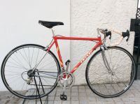 Moser Forma  Vintage Rennrad Nordrhein-Westfalen - Gladbeck Vorschau