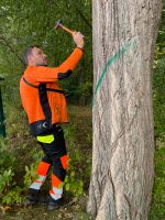 Baumkontrolle nach Sturm / Orkan Mecklenburg-Vorpommern - Stralsund Vorschau