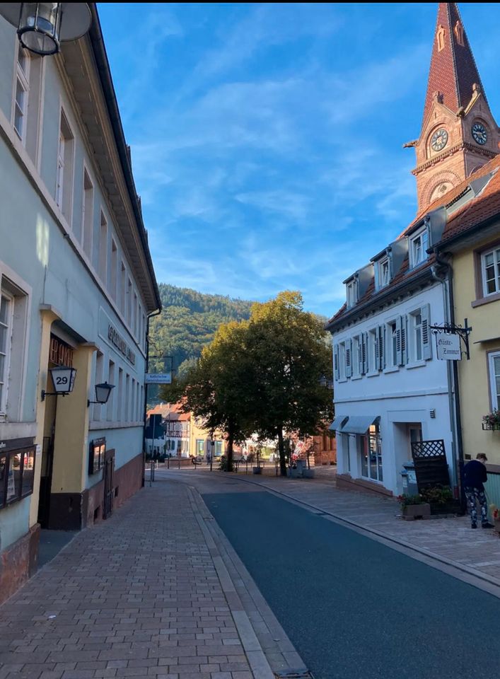 Waldnahe Ferienwohnungen bei Heidelberg in Heidelberg