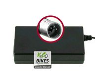 Ladegerät BMZ Li-Ion 42V 2A Stecker XLR 4polig Akku E-Bike Nordrhein-Westfalen - Bottrop Vorschau