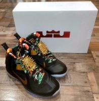 Nike LeBron IX Watch the Throne Sneaker NBA King James EU 41 Sachsen - Großröhrsdorf Vorschau