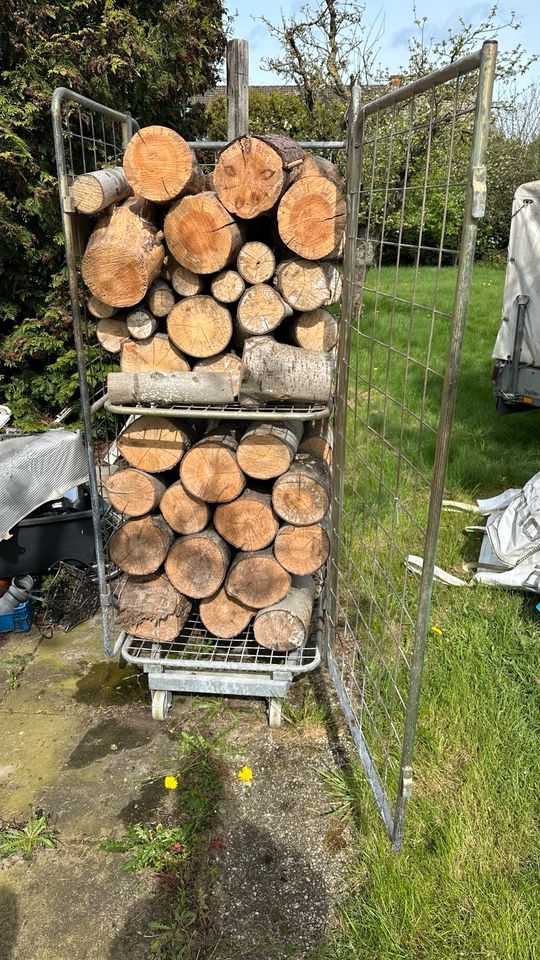 NUR bis Mai Rollwagen 2m³ Brennholz Kaminholz Kamin Ofenkamin in Bremen