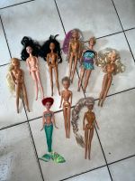 9 verschiedene Barbie Puppen Niedersachsen - Dörverden Vorschau