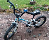 Centurion R Bock kinderfahrrad 16 zoll Rheinland-Pfalz - Schmalenberg Vorschau