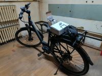 Elektrofahrrad pegasus e-bikes 2019 bosh Baden-Württemberg - Pforzheim Vorschau