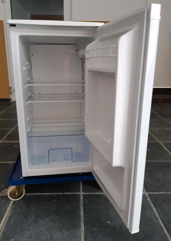 Kühlschrank in Grünhain-Beierfeld 
