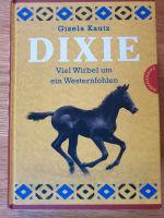 Pferdebuch, Gisela Kautz, DIXIE, Viel Wirbel um ein Westernfohlen Dresden - Dresden-Plauen Vorschau