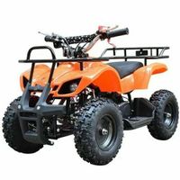 Quad Pocketquad 49ccm Miniquad Kinderquad Nordrhein-Westfalen - Greven Vorschau