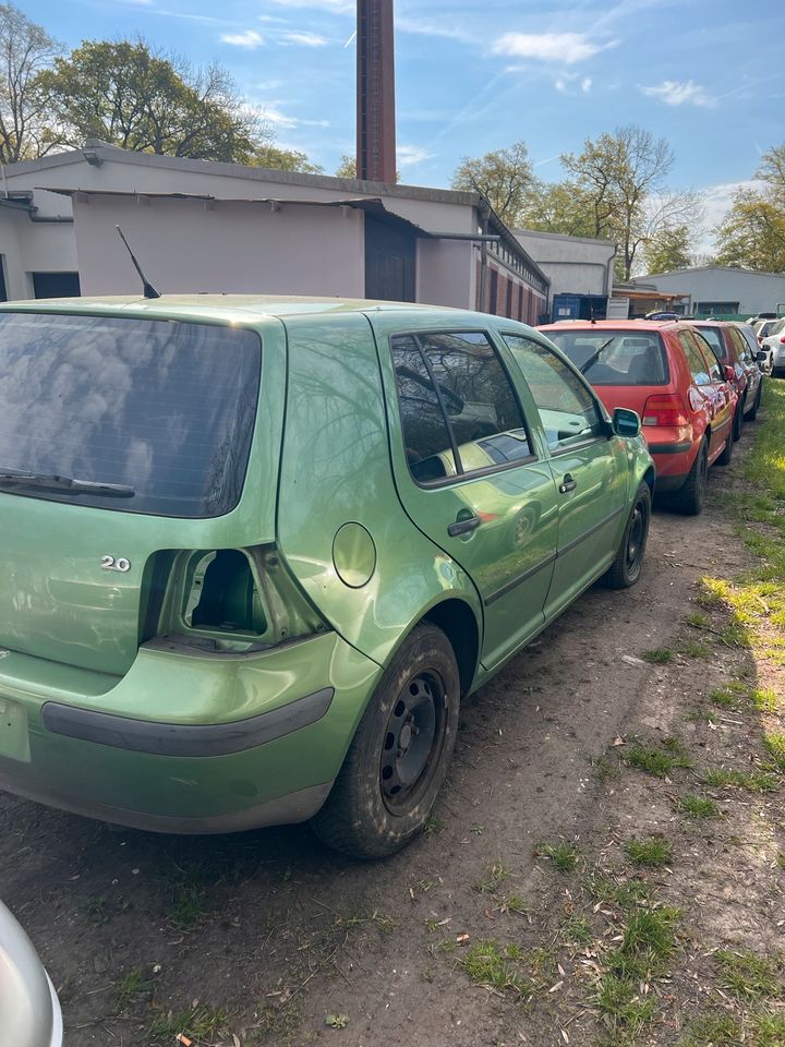 Schlachtfest Ersatzteile Golf 4 2.0 AQY EGC LA6P Kotflügel in Sarstedt